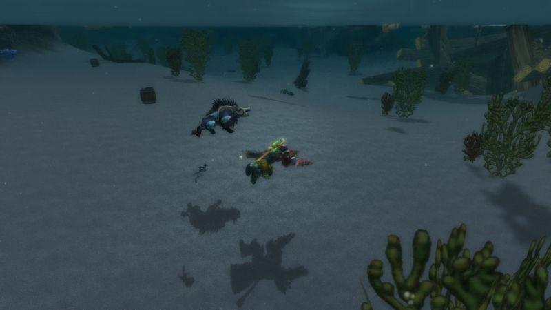 swimming.jpg