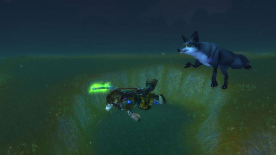 swimming.jpg