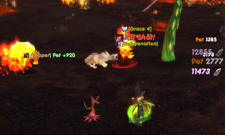 pepper attacks.jpg