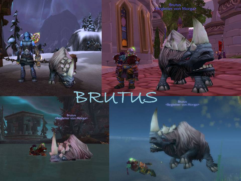 Brutus2.jpg