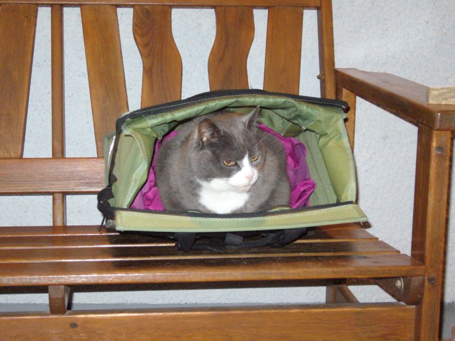 Herbst-Winter 2010 034.jpg
