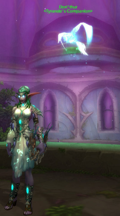 111202_Tyrande+pet.jpg