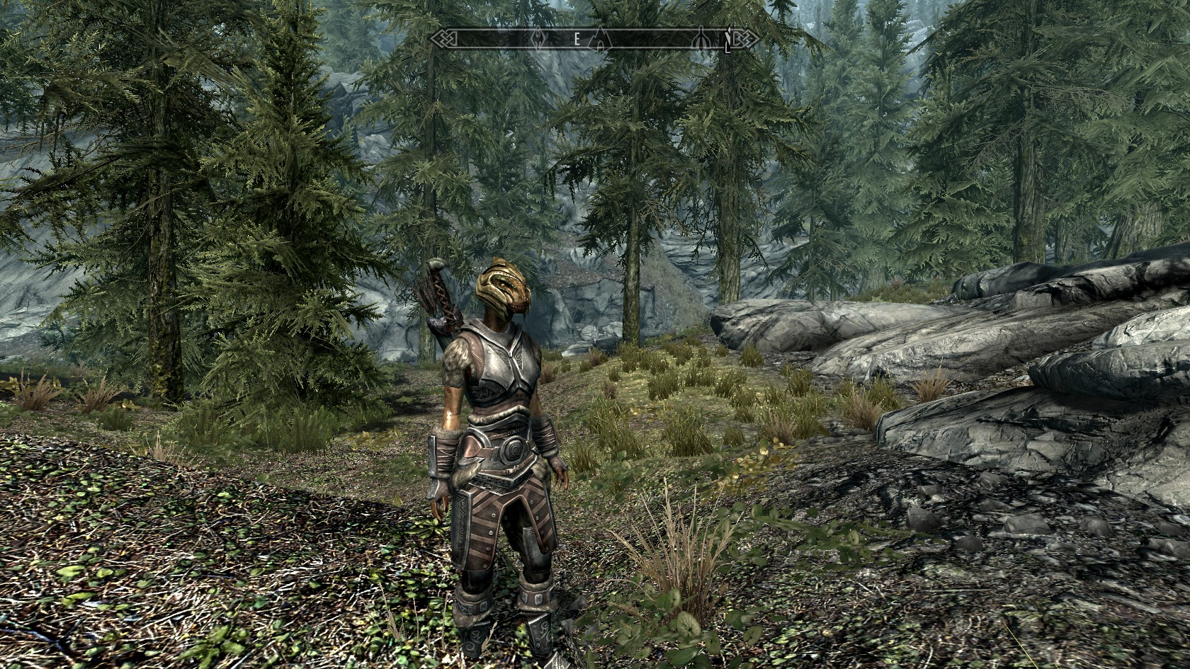Skyrim 12-09-11 (4).jpg