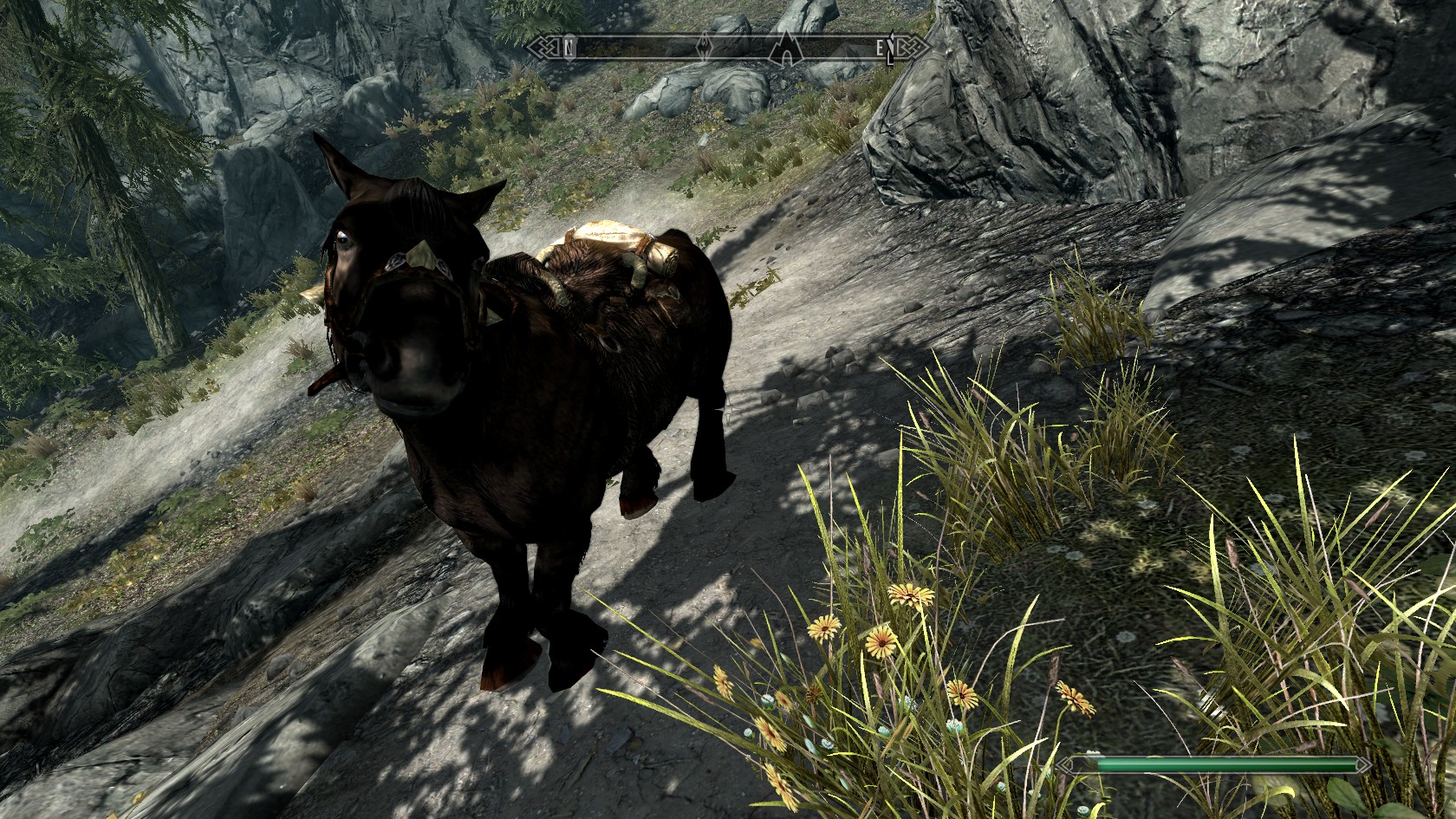 Skyrim 12-09-11 (7).jpg