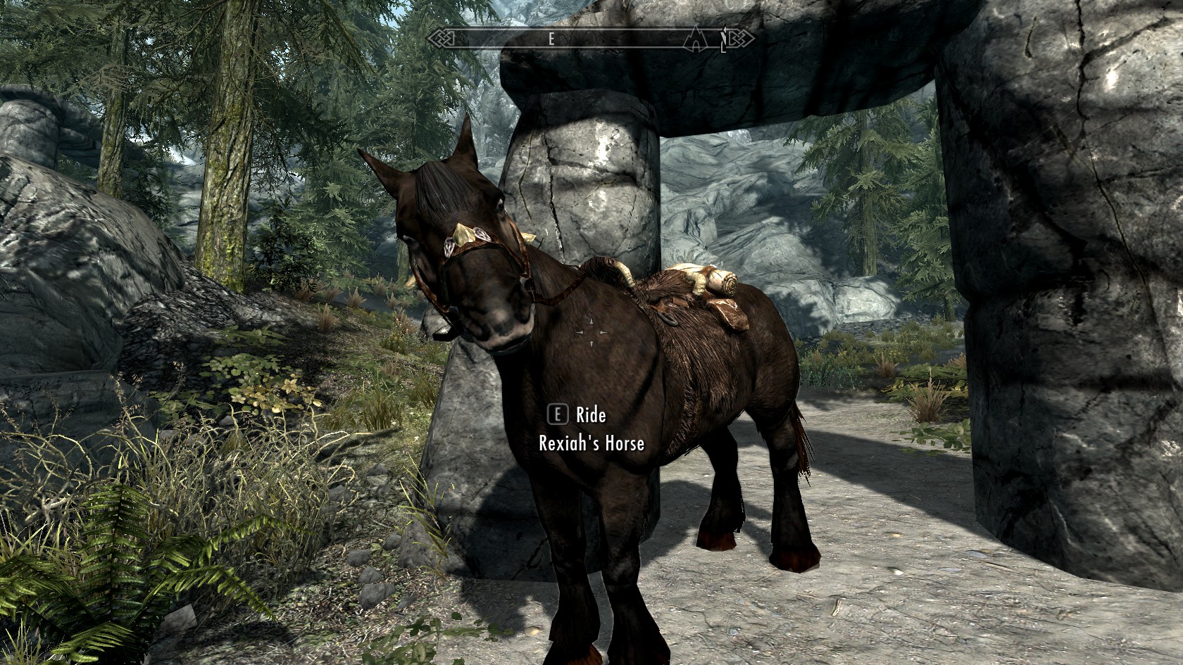 Skyrim 12-09-11 (8).jpg