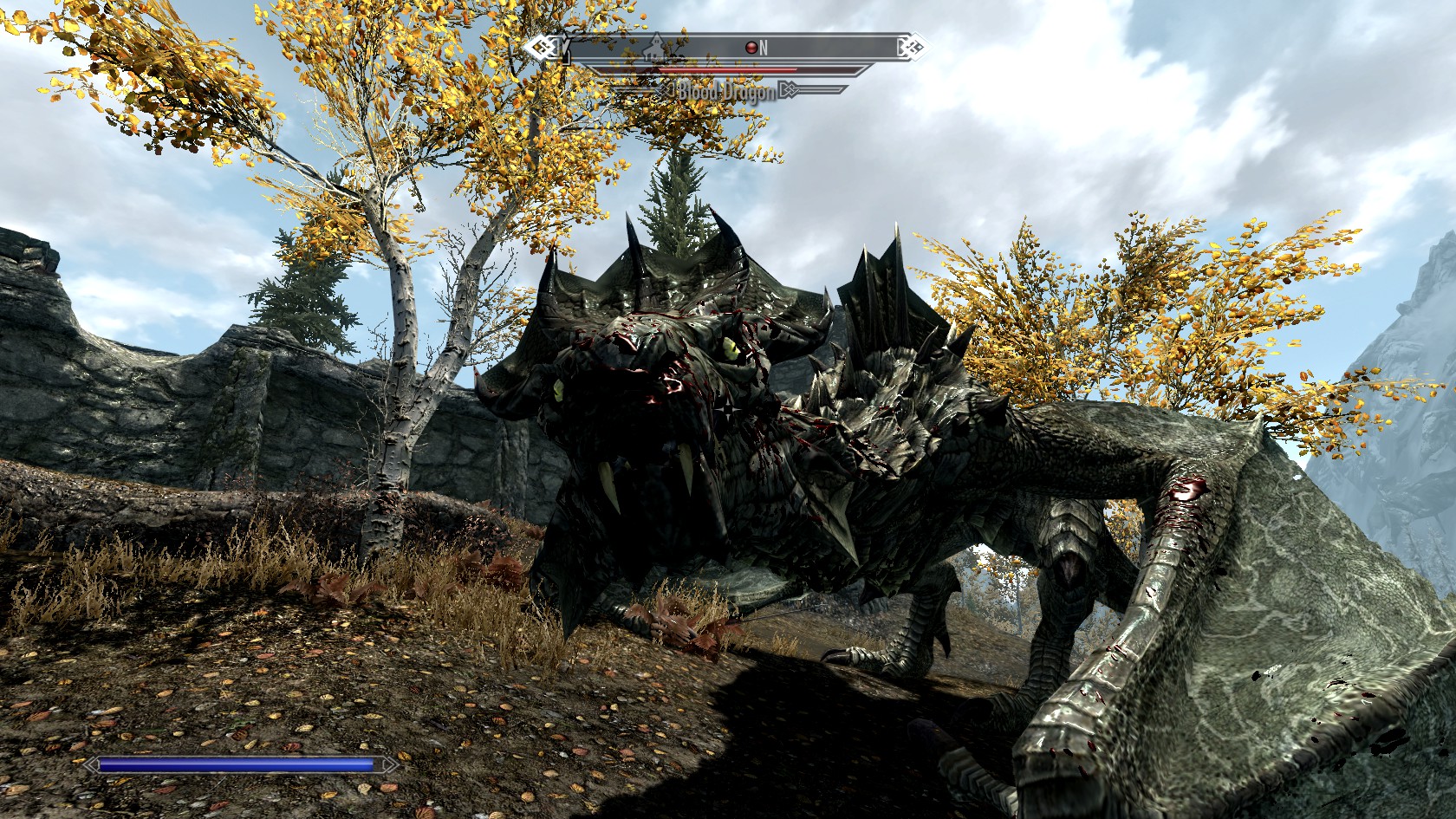 Skyrim 12-09-11 (9).jpg