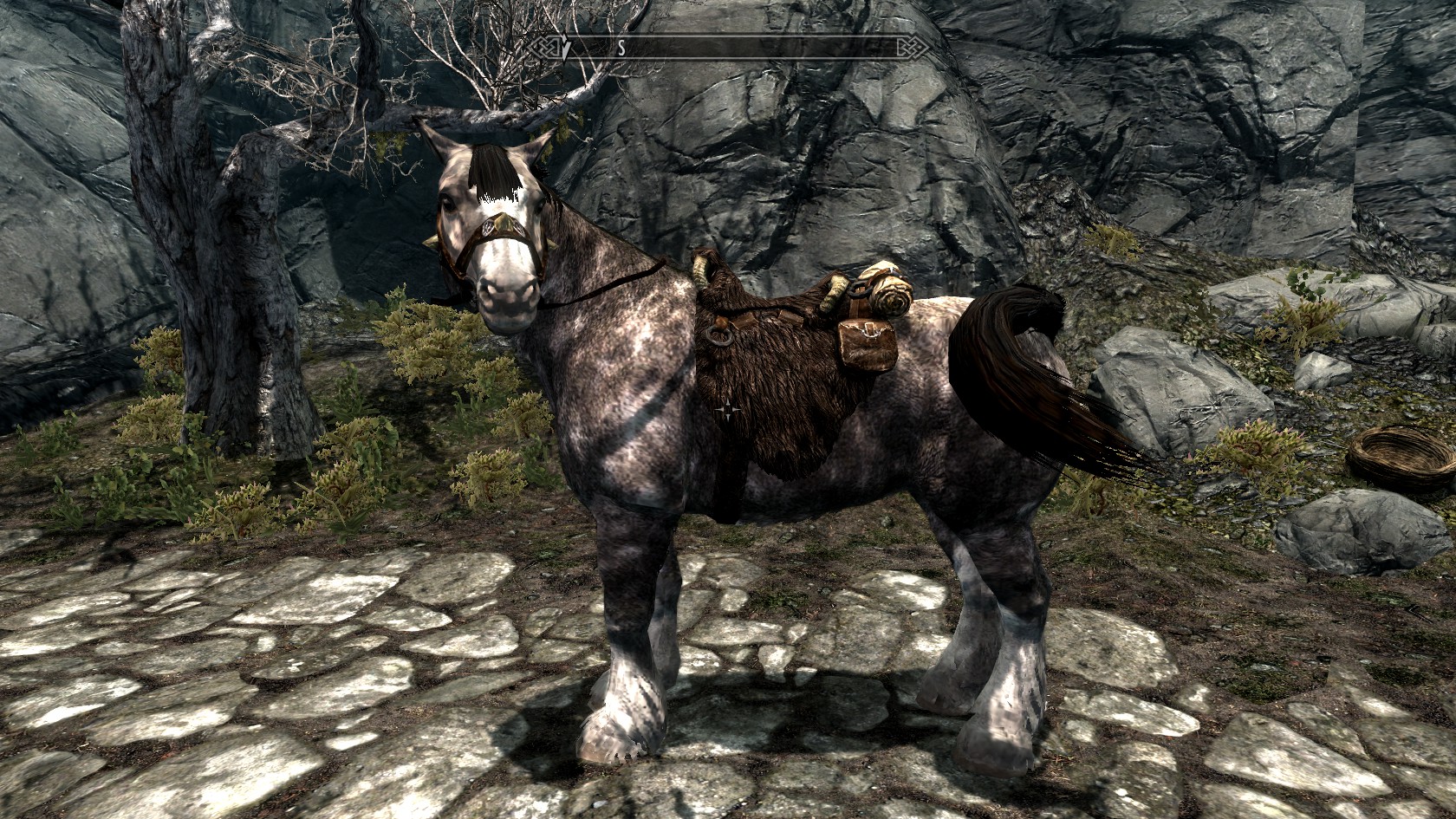 Skyrim 12-15-11 (3).jpg