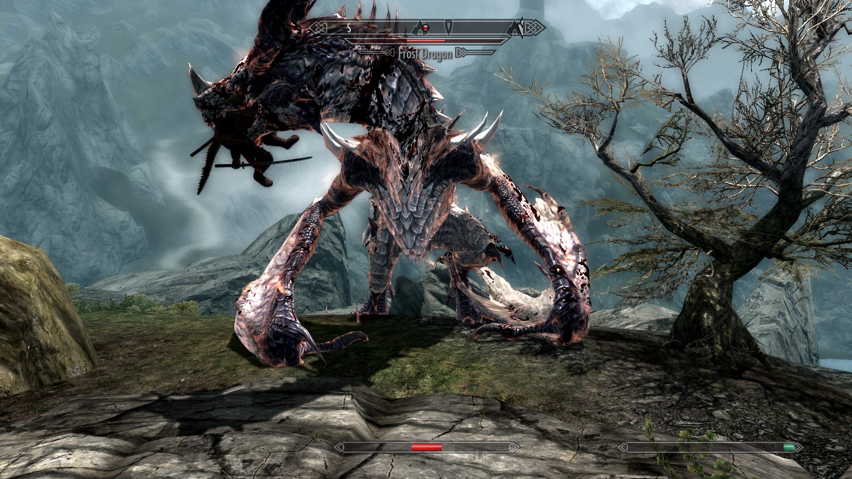 Skyrim 12-15-11 (8).jpg