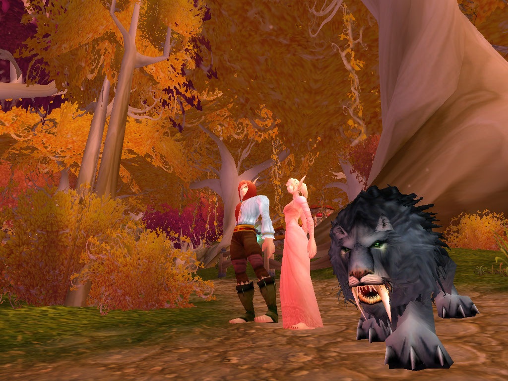 Me and my brother's char and my pet in Eversong - we were RPing