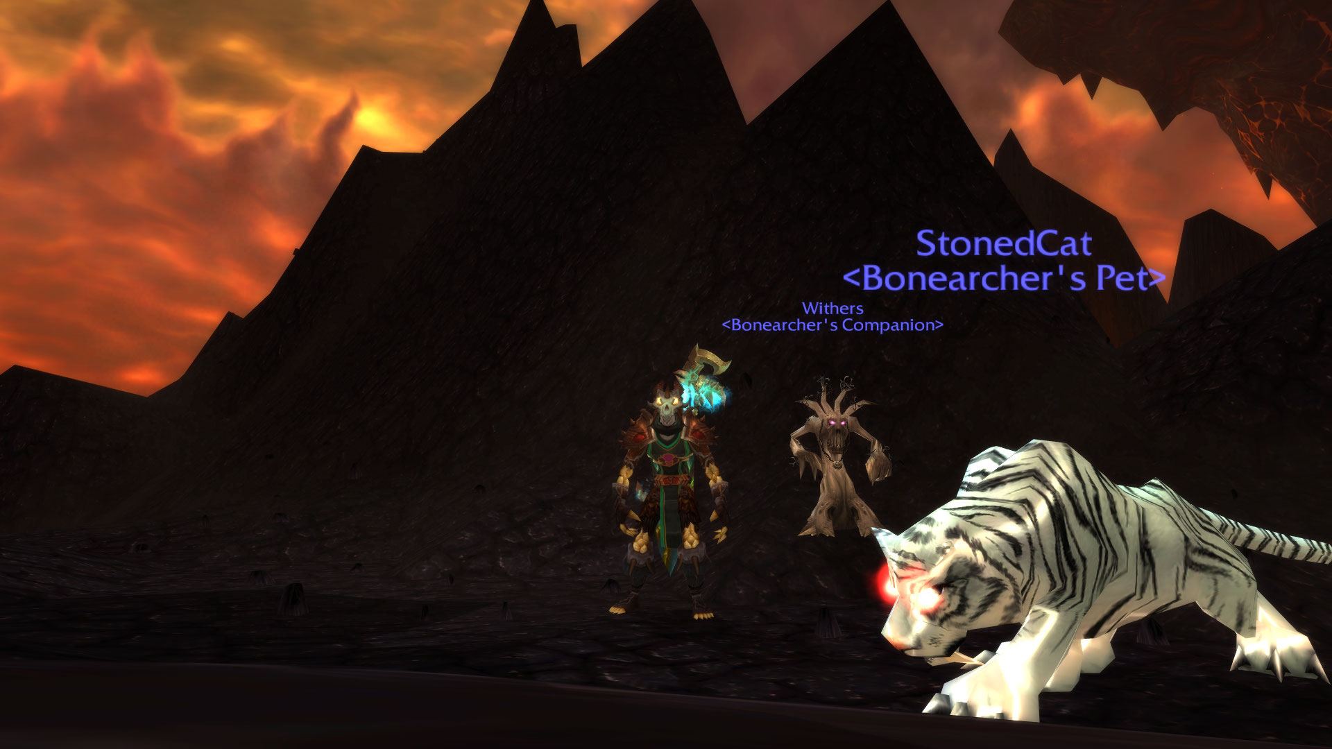 Red Glowing Eye Cat.jpg