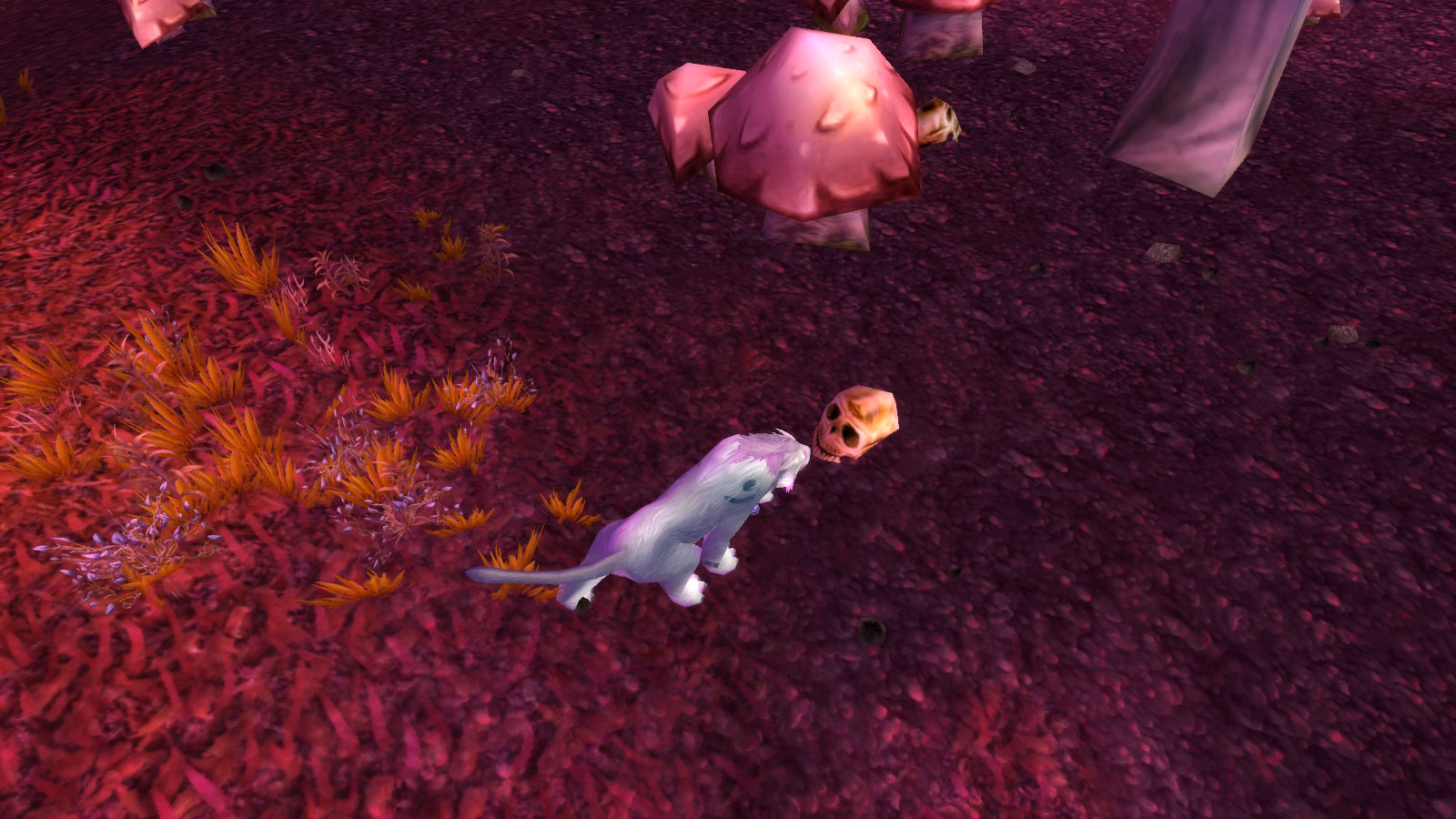 WoWScrnShot_022612_113714.jpg