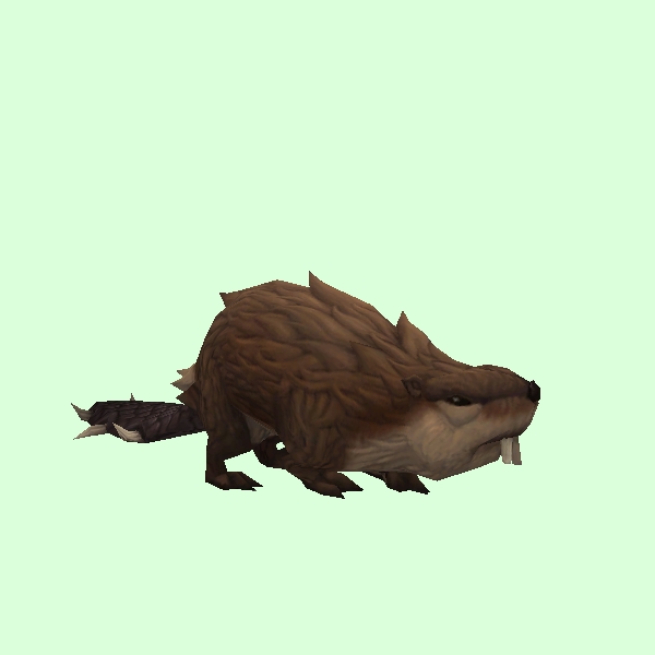 Beaver.jpg