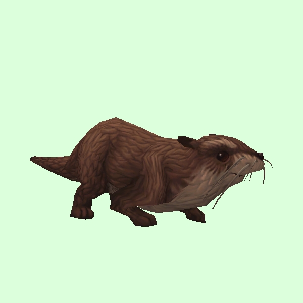 Otter.jpg