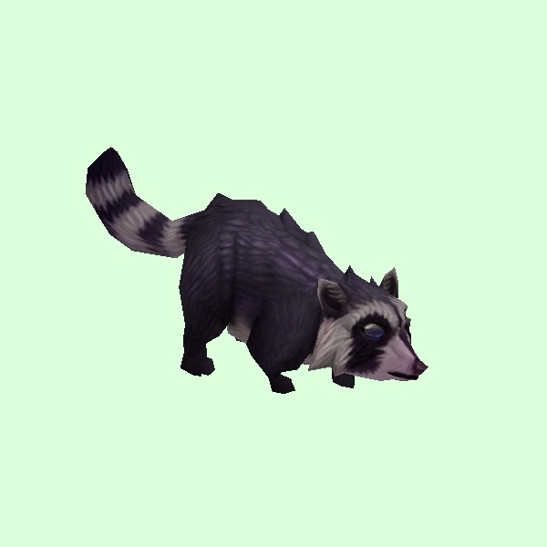 Raccoon2Dark.jpg