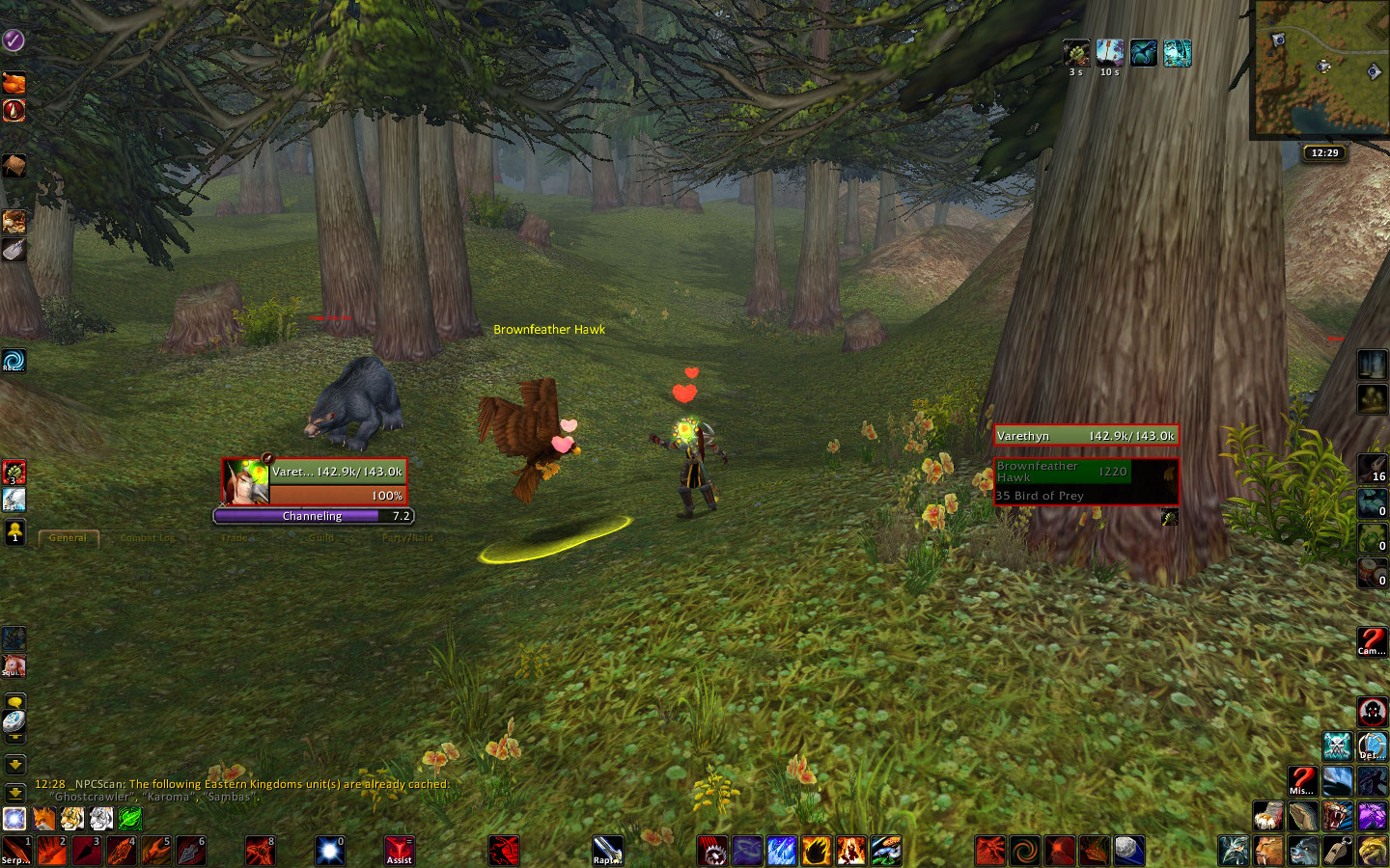 Brownfeather Hawk.jpg