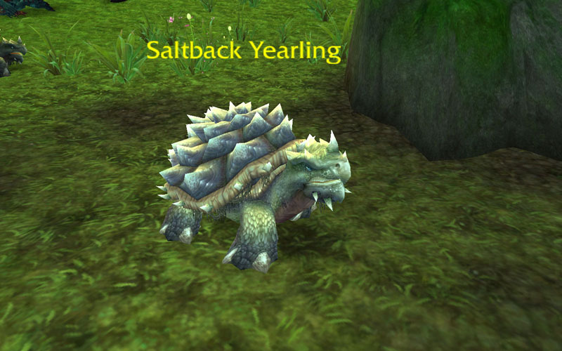 WoWScrnShot_040212_144259.jpg