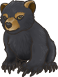 Bear Cub