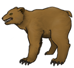 bearAdult_brown.png