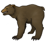 bearAdult_darkBrown.png