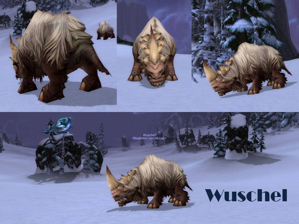 Wuschel1.jpg
