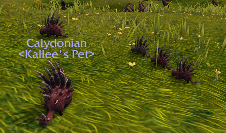 porcupines.png