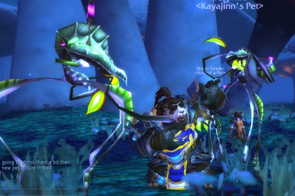 WoWScrnShot_051412_154854.jpg