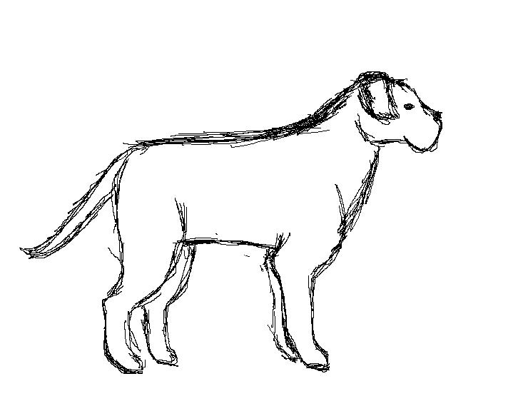 Doggeh.jpg