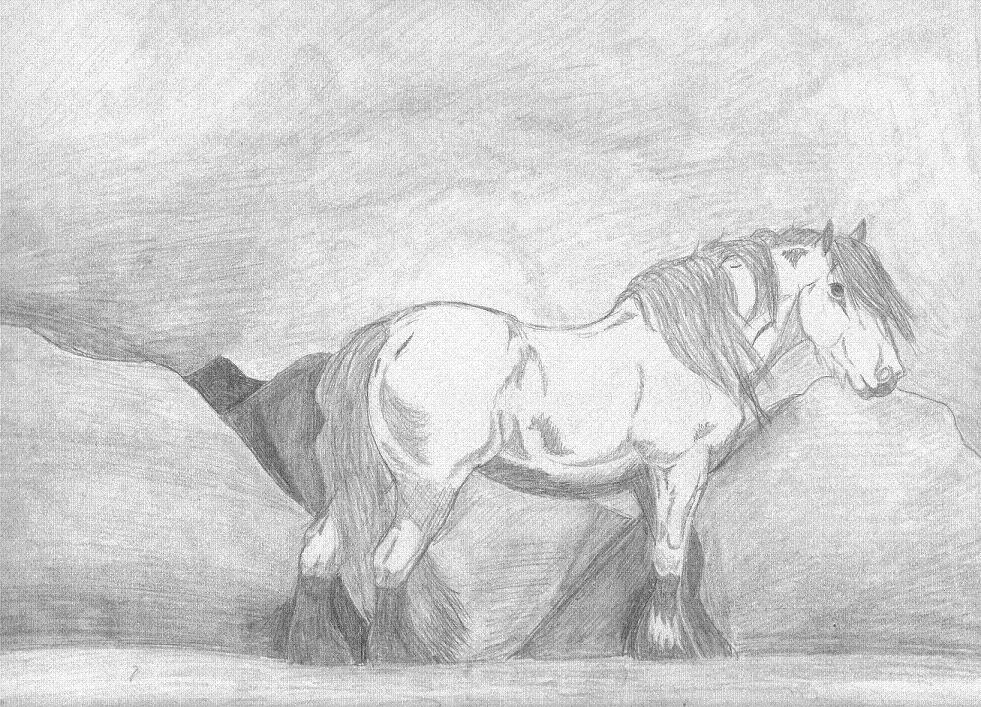 horsie2.JPG