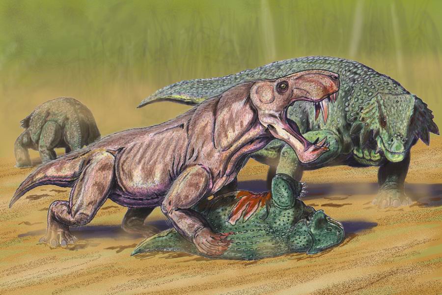 Top predator of the Late Permian Period, these guys were almost everywhere, spanning from Russia to South Africa.