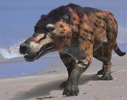 Surprisingly not related to wolves, but, even-toad ungulates like sheep and goats (Artiodactyls)