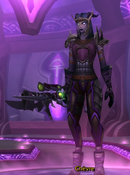 Her &quot;Sentinel&quot; gear.