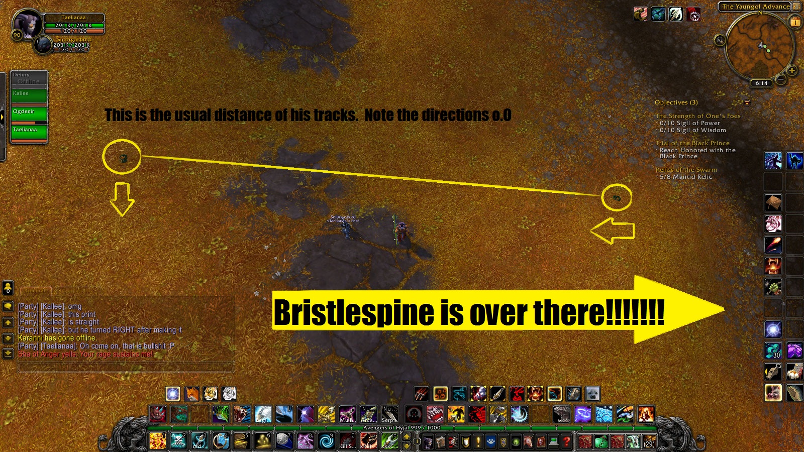 Bristletrollollol.jpg