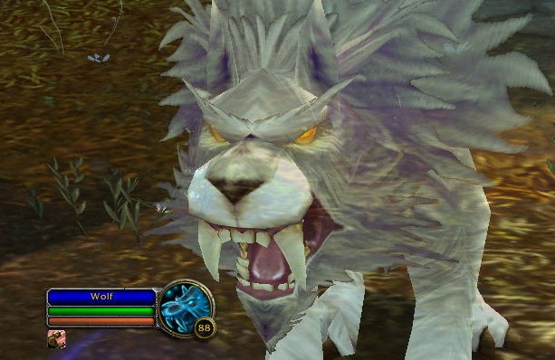 wolf.jpg