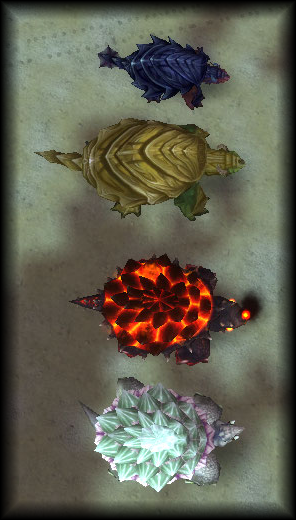 Turtles2.png