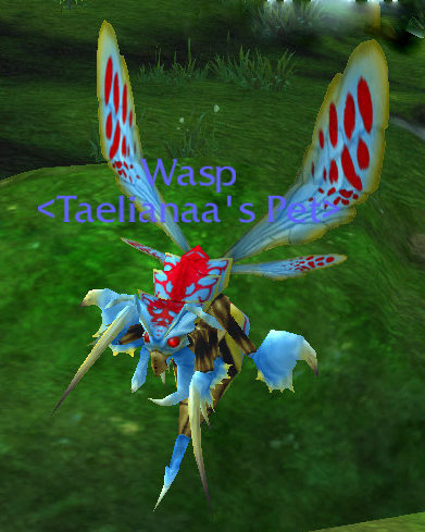 wasp.jpg