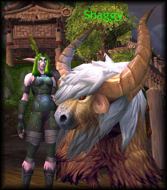 WoWScrnShot_080712_231633.jpg