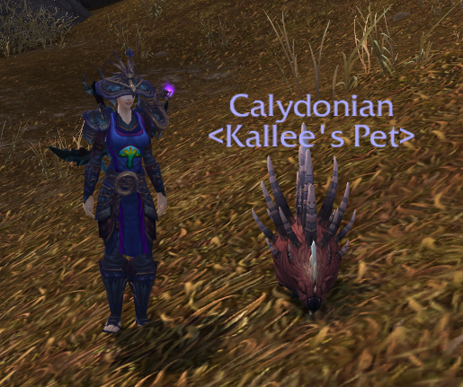Caly's back!.png
