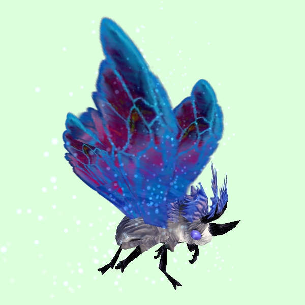 MothSkinGrey-BlueWings.jpg