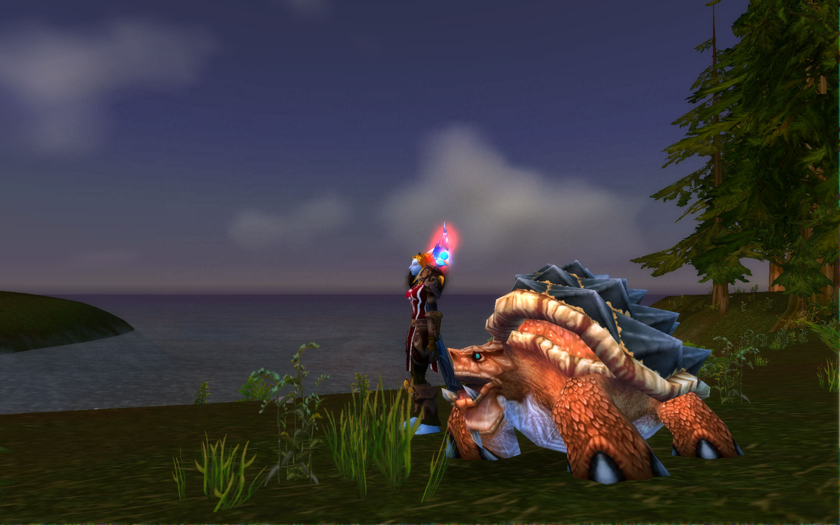 Hunter Pet orange turtle.jpg