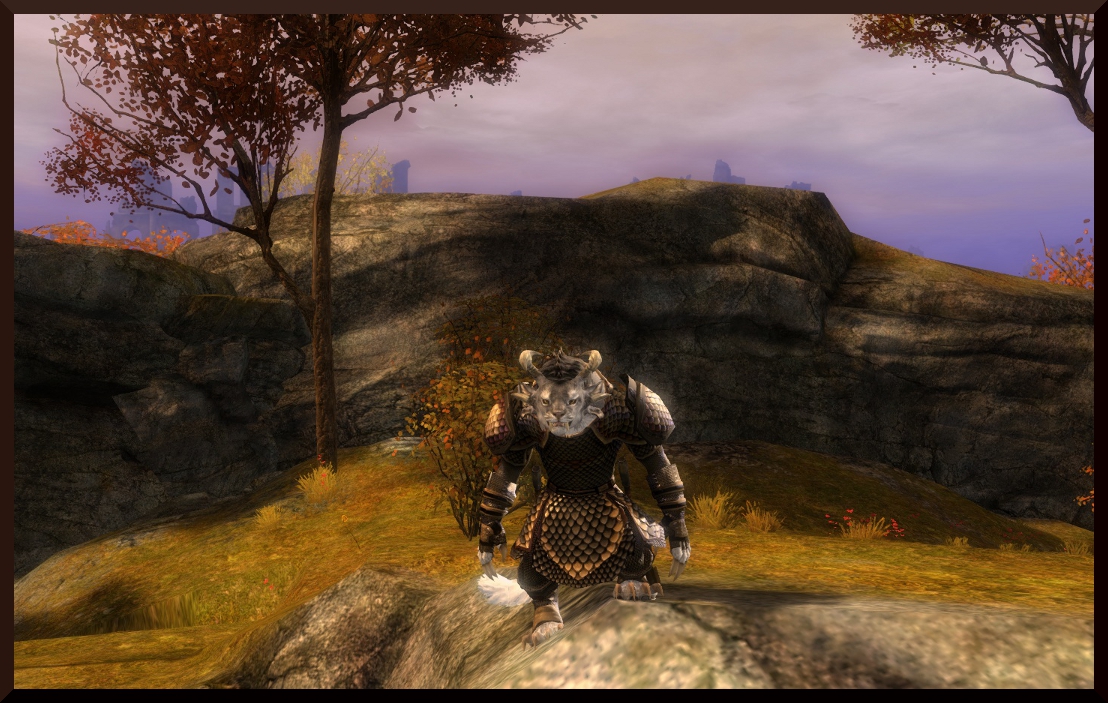 Terrain Detection.jpg