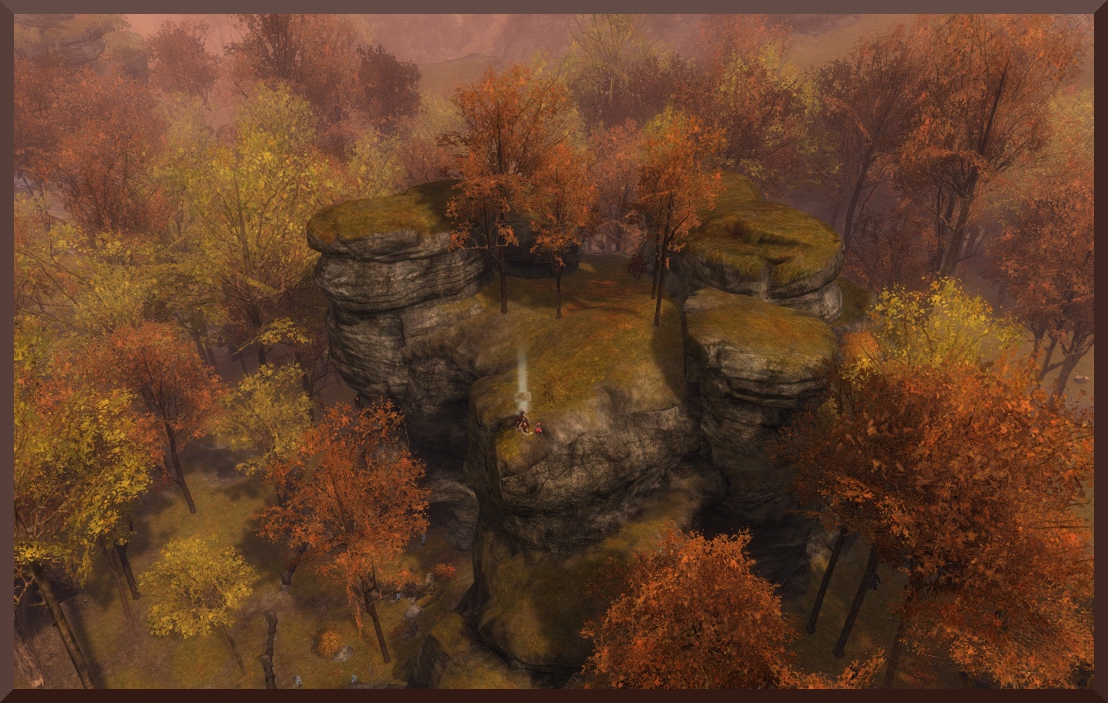 Paw-Shaped Rocks.jpg