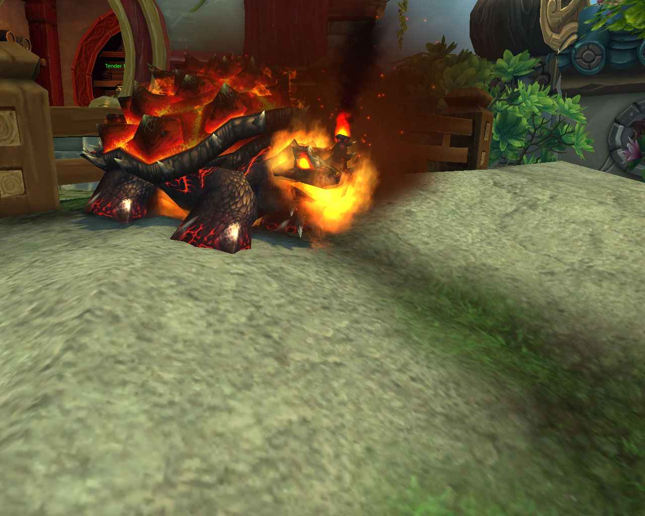 Flame turtle on fire = pure awesomeness!!!