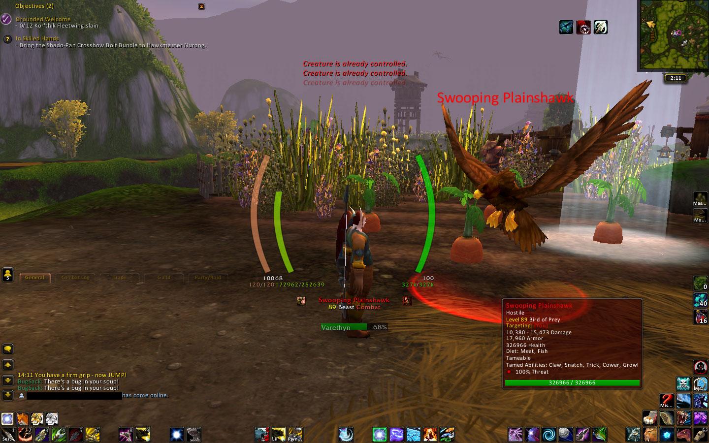 Swooping Plainshawk.jpg