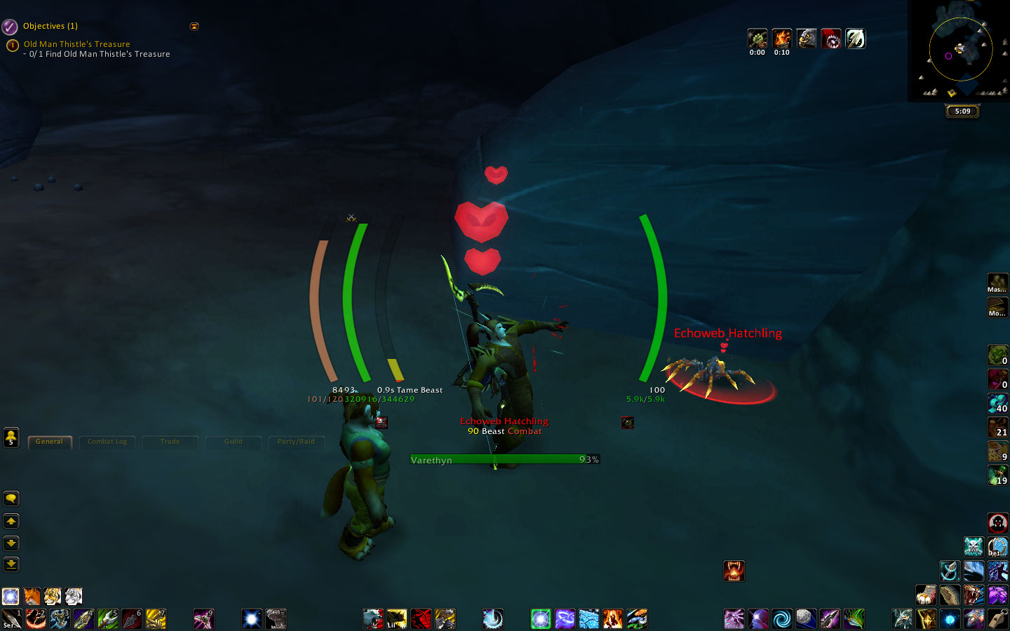 Echoweb Hatchling.jpg
