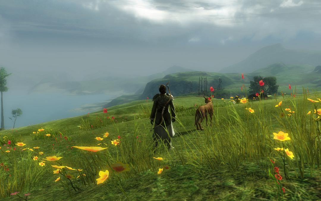 Field of Golden Flowers.jpg