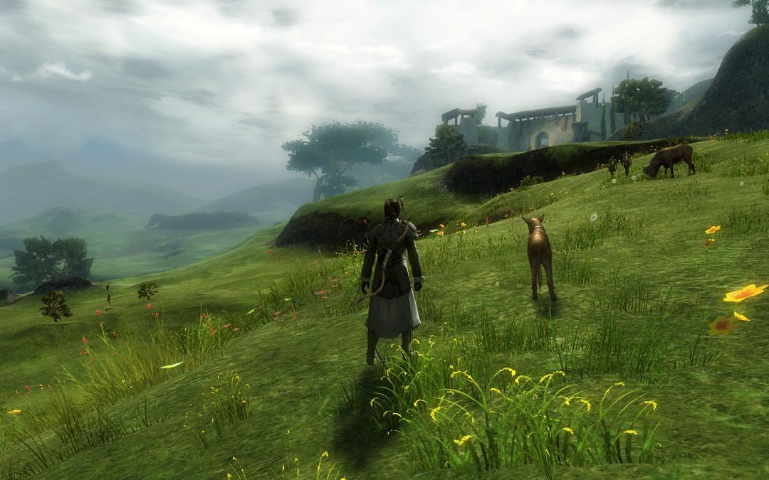 Pretty View.jpg