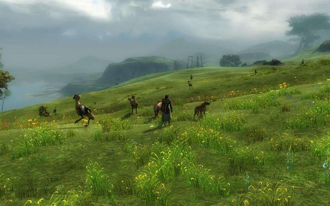 Field of Moa.jpg
