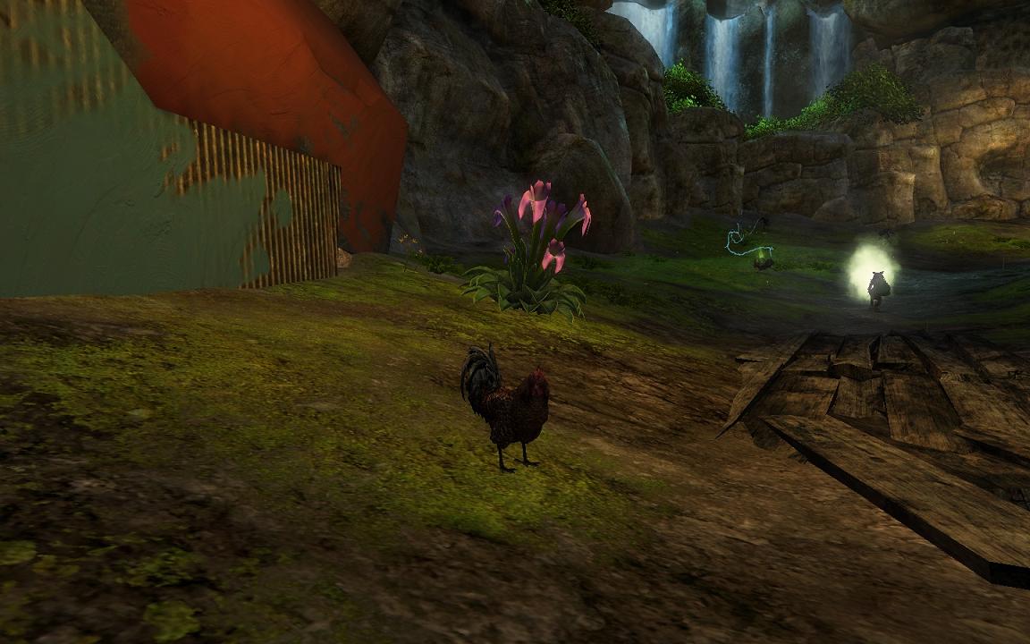 Ioleandre the Chicken.jpg