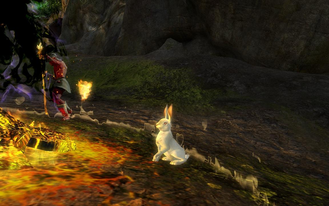 Ioleandre the Bunny.jpg