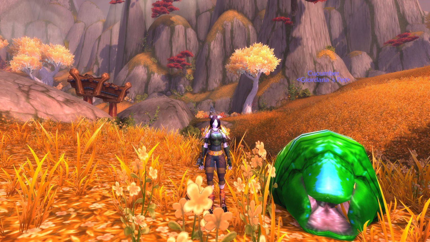 WoWScrnShot_121912_202841.jpg